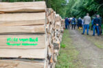 06.06: Holzstee / Vente de bois de chauffage