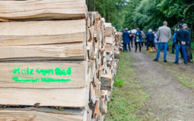 06.06: Holzstee / Vente de bois de chauffage