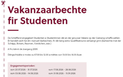 Formulaire: “Vakanzaarbechte fir Studenten”